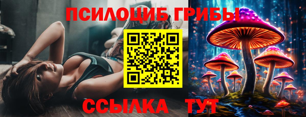 Галлюциногенные грибы Psilocybe Каменск-Уральский