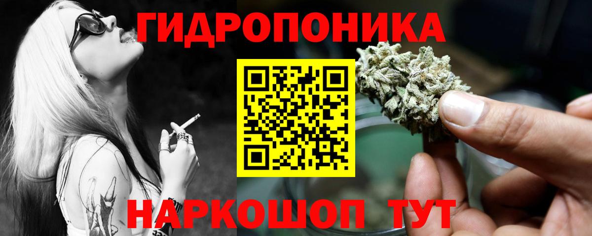 Канабис OG Kush  Конопля план  Каменск-Уральский  Вход с VPN  Шишки марихуана SATIVA & INDICA 